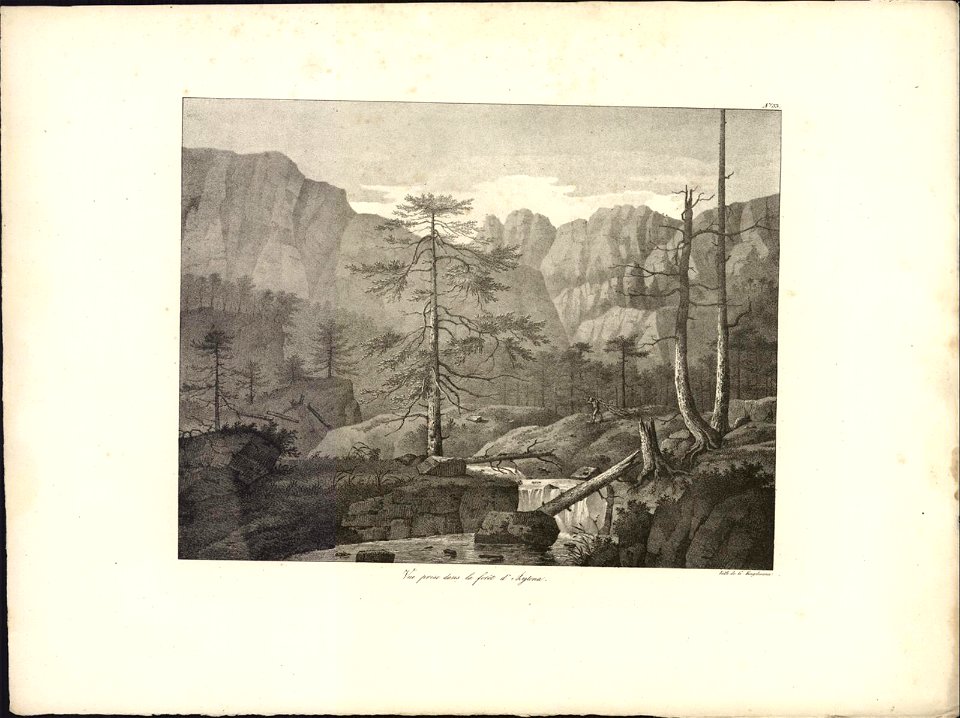 Vue prise dans la forêt d'Aytena, objectnr A 59335