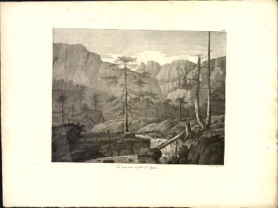 Vue prise dans la forêt d'Aytena, objectnr A 59335