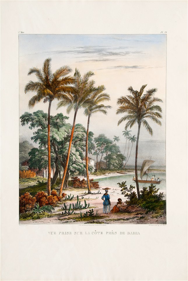 Vue prise sur la côte prês de Bahia, da Coleção Brasiliana Iconográfica