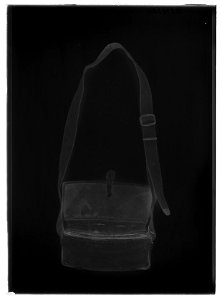 Värja till hovuniform - Livrustkammaren - 60868-negative