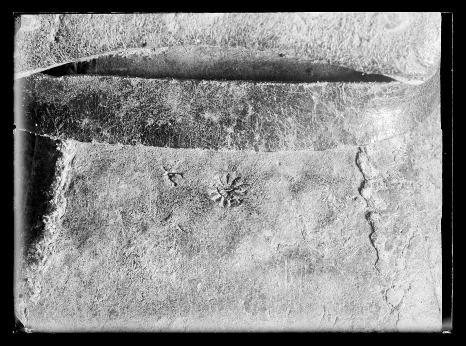 Vänster kragstövel buren av Karl XII vid Fredrikshall den 30 november 1718 - Livrustkammaren - 2801