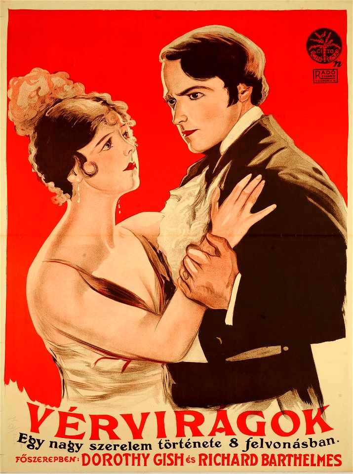 Vérvirágok magyar filmplakát (Nemes György, 1926)