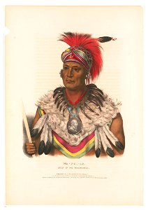 Wa-Pel-La chief of the Musquakees - drawn, printed & coloured at I.T. Bowen's Lithographic Establishment No. 94 Walnut St. LCCN95502154