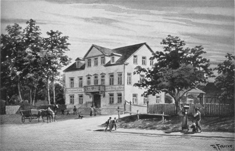 Wais 1955.2, 134