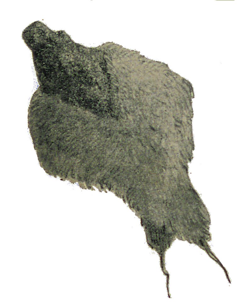 Wacław Sieroszewski - 12 lat w kraju Jakutów (page 167a crop)