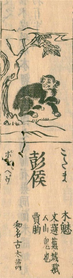 Wakan-sansai-zue-bk040-v021-f17a-kodama - labeled