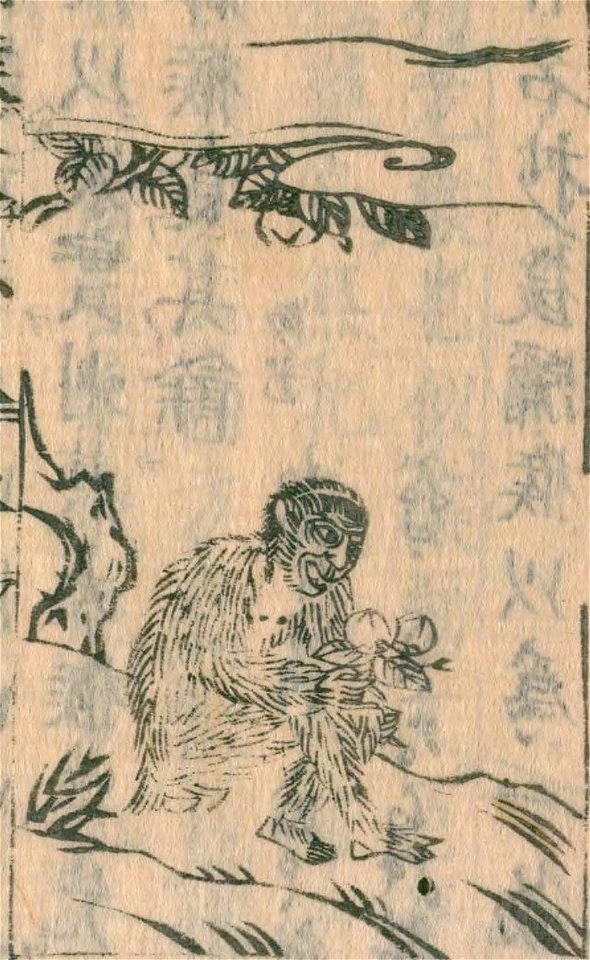Wakan-sansai-zue-bk040-v021-f10a-mashira