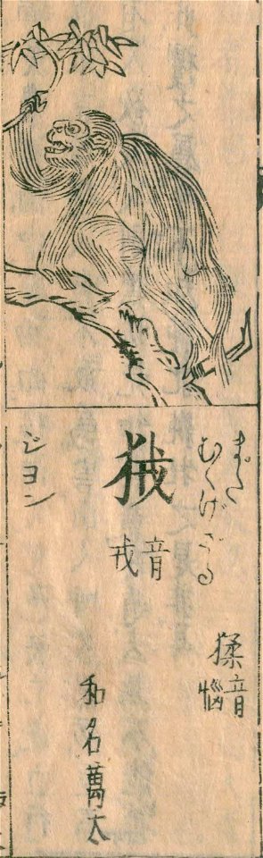 Wakan-sansai-zue-bk040-v021-f11b-mata or mukugezaru - labeled