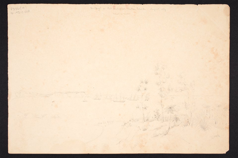 Waitangi or Port Wakefield, Chatham Islands. August 1839. Whaling Resort
