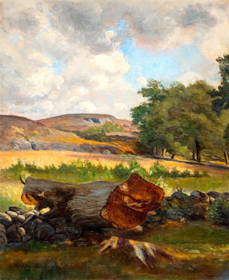 Waenerberg Fallen tree