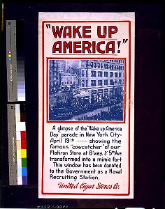 Wake up America! LCCN95501001
