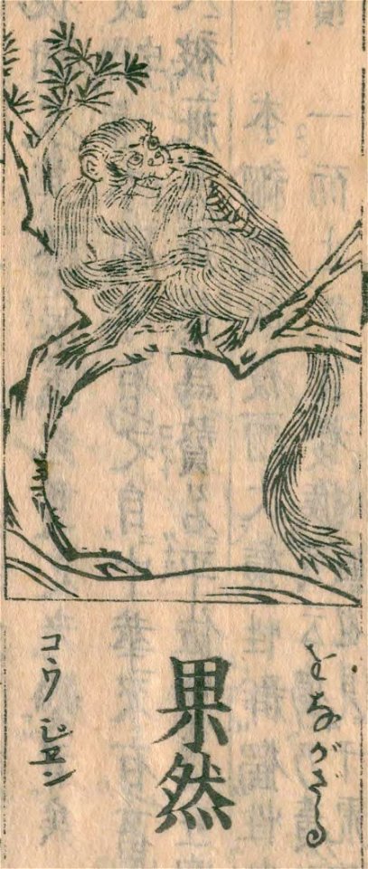 Wakan-sansai-zue-bk040-v021-f12b-onagazaru - labeled