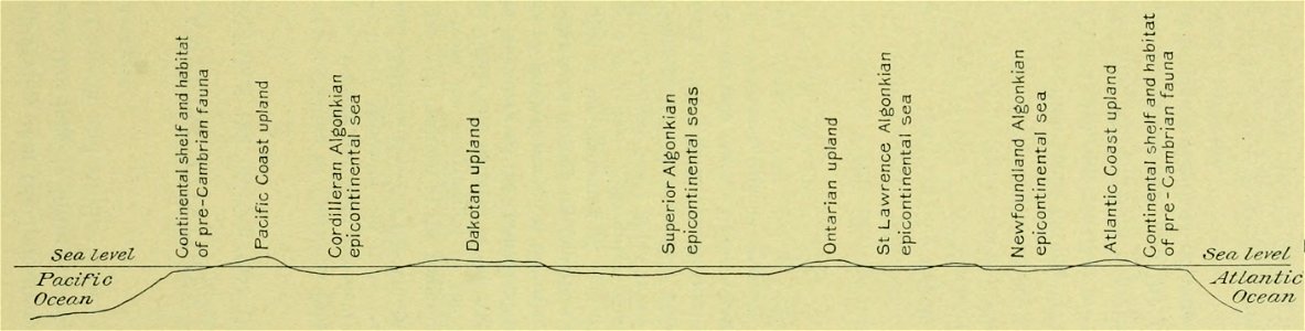 Walcott Cambrian Geology and Paleontology II text figure 01