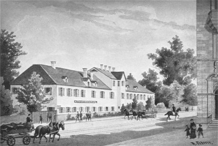 Wais 1955.2, 131