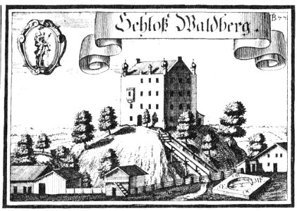 Waldberg-neu