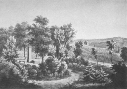 Wais 1955.2, 144
