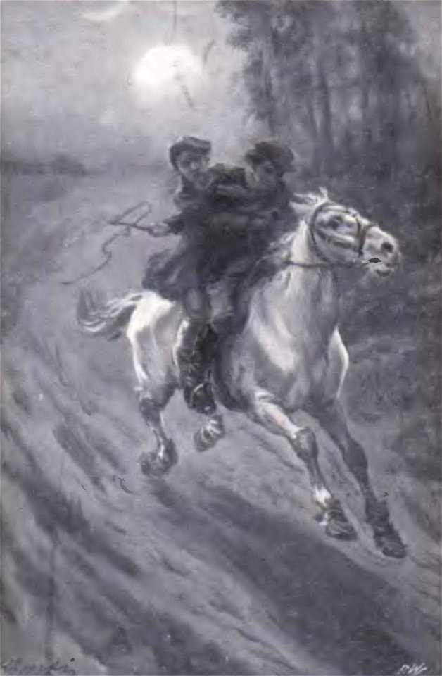 Walery Przyborowski - Bitwa pod Raszynem page139