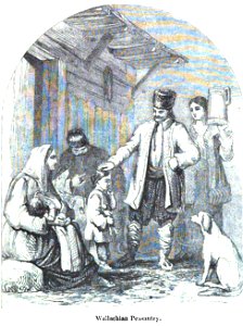 Wallachian Peasantry. George Dodd. Pictorial history of the Russian war 1854-5-6
