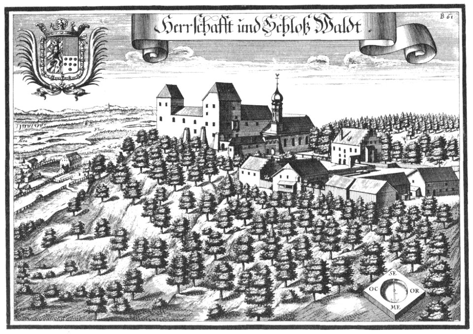 Wald-neu