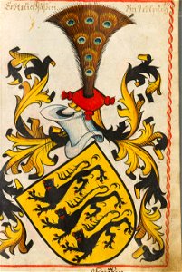 Waldburg Scheibler43ps