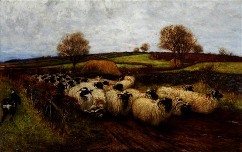 Walter Bertram Potter (1872-1918) - Landscape with Sheep and a Sheep Dog - 629632 - National Trust. Free illustration for personal and commercial use.