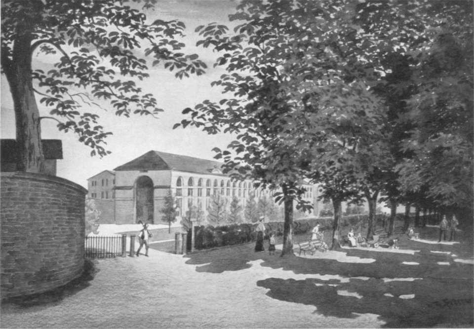 Wais 1955.2, 127