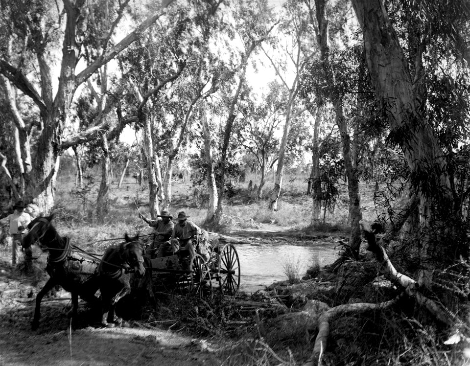 Walter Baldwin Spencer - Crossing Salt Creek near the Roper River, Eastern Arnhem Land, Australia, July 1911 - Google Art Project