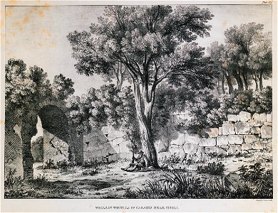 Walls at the villa of Cassius near Tivoli - Dodwell Edward - 1834