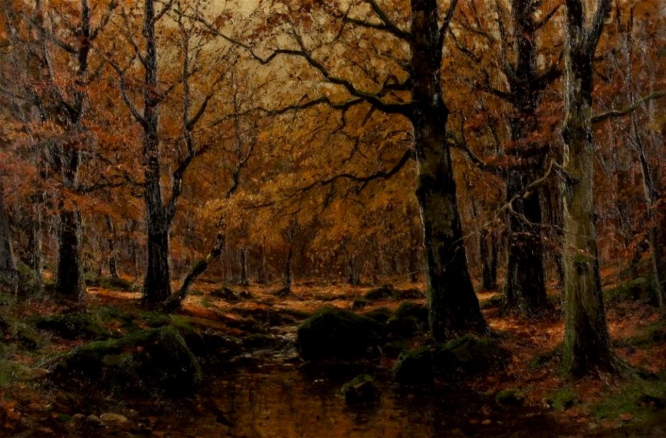 Walter Moras - Sonnenstrahlen fallen in einen herbstlichen Wald