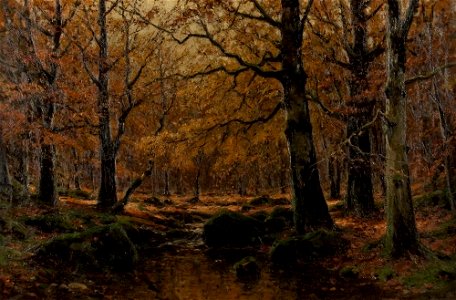 Walter Moras - Sonnenstrahlen fallen in einen herbstlichen Wald