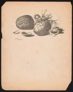 Walnuts and strawberries) - C.N. Woolnoth LCCN2016649185