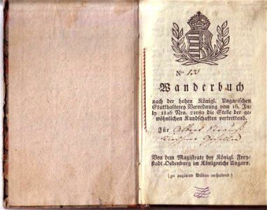 Wanderbuch, Albert Strauß, 1816, Titel