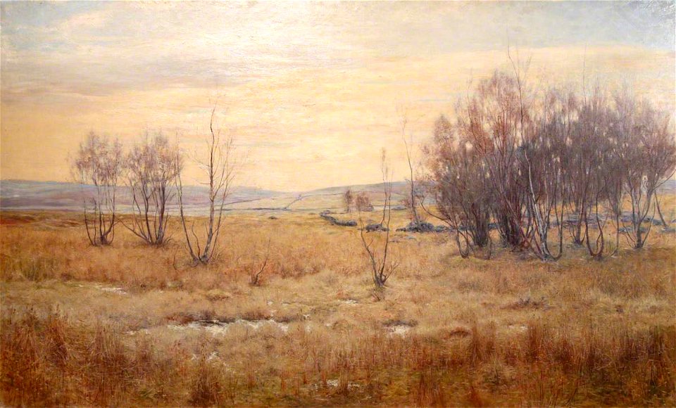 Walter Bertram Potter (1872-1918) - Moorland Landscape with Bare Trees - 642006 - National Trust