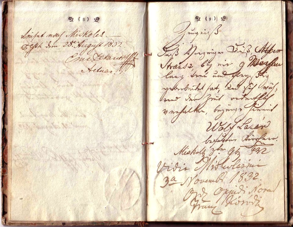 Wanderbuch, Albert Strauß, 1816, Seite 8-9, Zeugnis