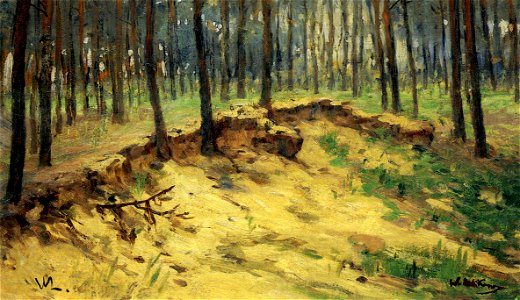 Walter Leistikow Waldstueck mit Sandgrube