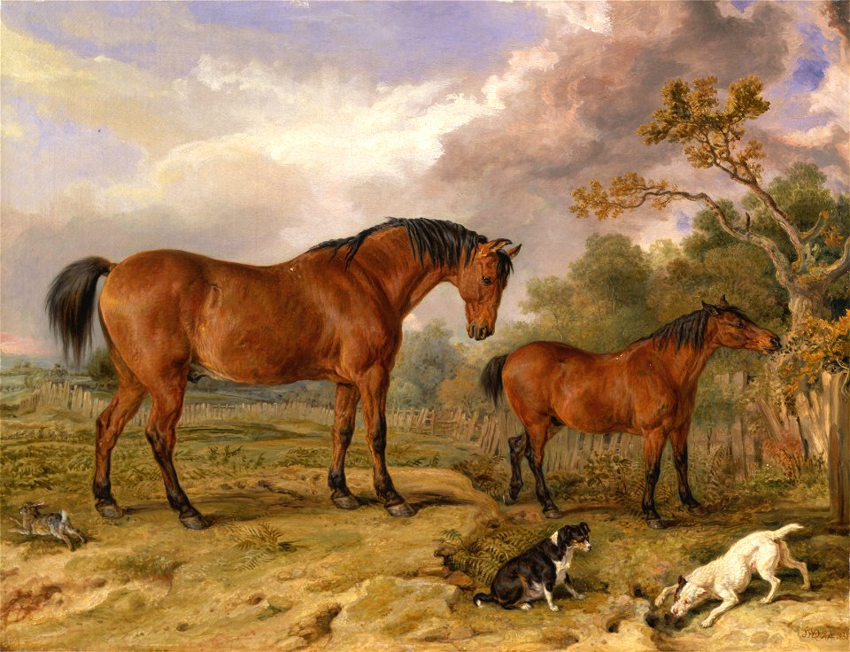 James Ward - Portrait of Reformer, Blucher, Tory and Crib, the Property of Rowland Alston, Esq., M.P. - Google Art Project