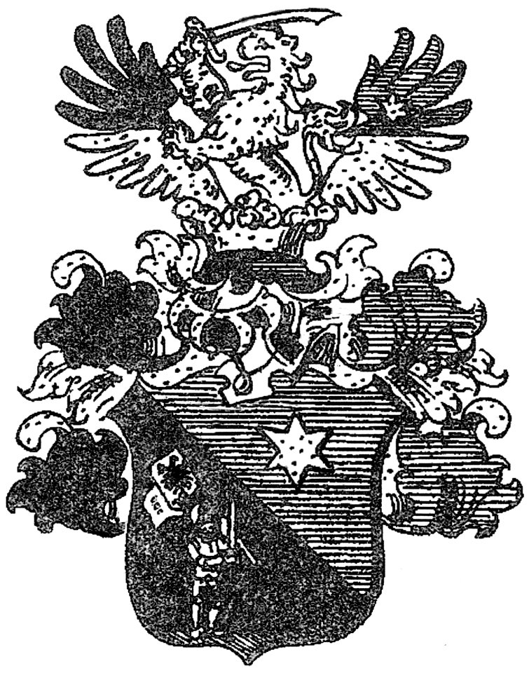 Wappen Rukavina von Morgenstern 1845