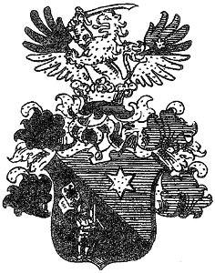 Wappen Rukavina von Morgenstern 1845