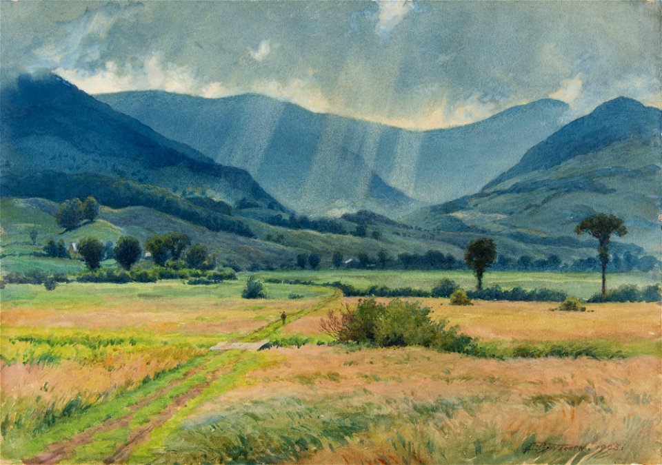 Warren Sunbeams 2003.60