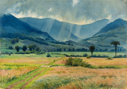 Warren Sunbeams 2003.60