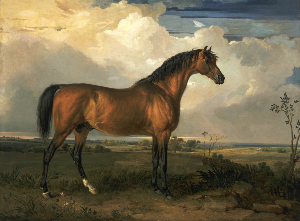 James Ward - Eagle, a Celebrated Stallion - Google Art Project