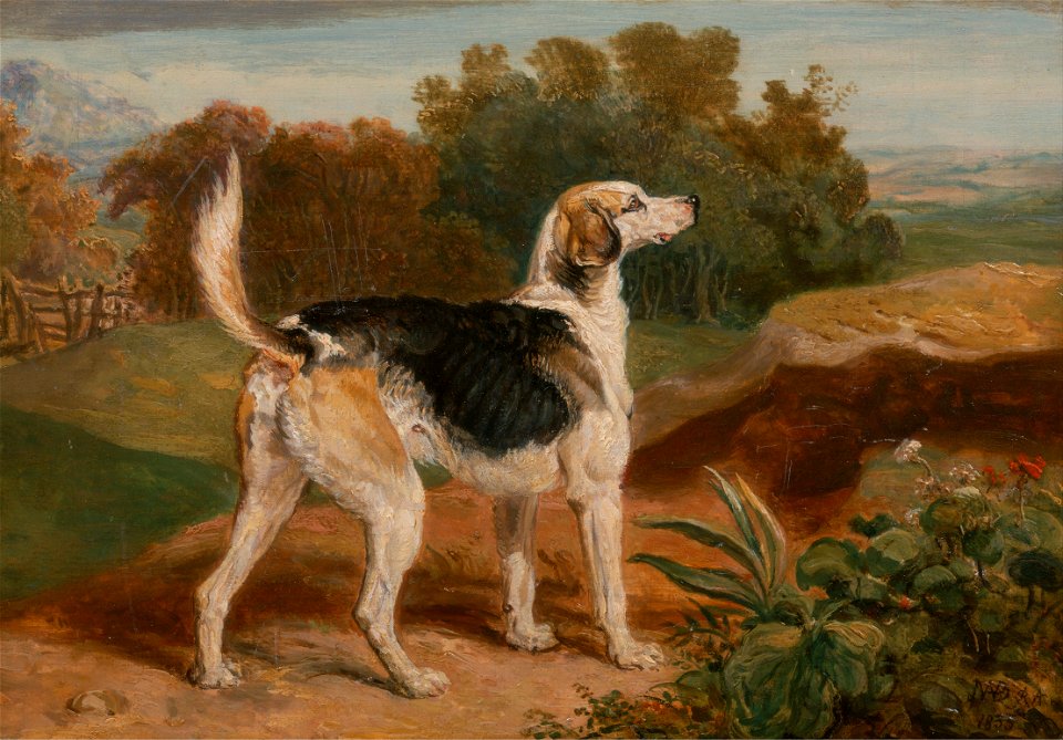 James Ward - Ravager, One of the Lambton Hounds - Google Art Project
