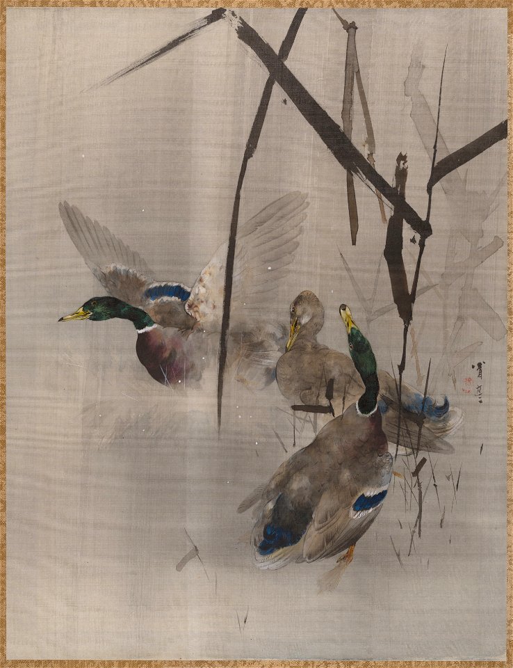 Watanabe Seitei - Ducks in the Rushes - 14.76.61.57 - Metropolitan Museum of Art