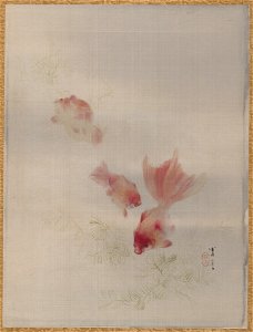 Watanabe Seitei - Goldfish - 14.76.61.79 - Metropolitan Museum of Art