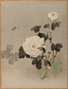 Watanabe Seitei - Roses, Young Bird and a Butterfly - 14.76.61.53 - Metropolitan Museum of Art