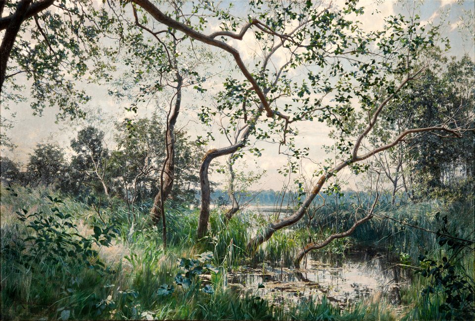 Water Vegetation. Motif from Östergötland (Johan Fredrik Krouthén) - Nationalmuseum - 18400