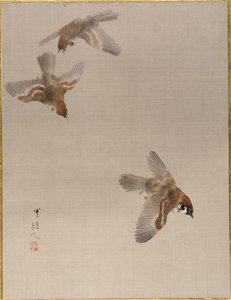 Watanabe Seitei - Sparrows Flying