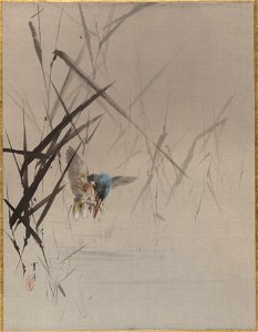 Watanabe Seitei - Bird Catching Fish Among Reeds - 14.76.61.45 - Metropolitan Museum of Art