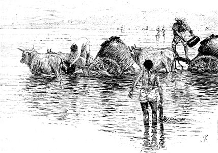 Watercarts Sabarmati River Ahmedabad 1890