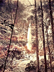 Waterval-op-Sumatra